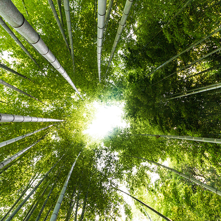 Répondre au défi climatique