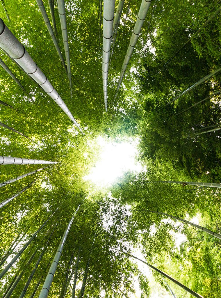 Répondre au défi climatique